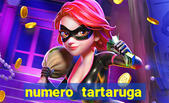 numero tartaruga jogo do bicho